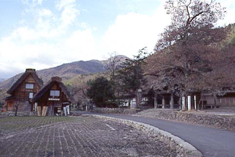 緩やかにカーブした神社前の道。まだ田植えには早い田圃がのどか。