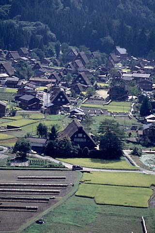 高台の上から白川郷の全貌が見渡せる。