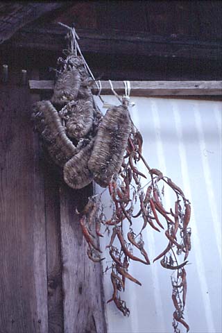 もうひとつのお気に入り、軒下にかけられた草鞋と唐辛子。カラカラに乾いた感じが秋を思わせる。