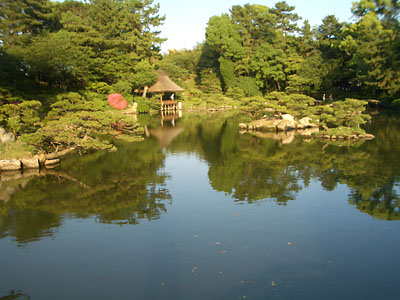 なぜか南国の植物らしきものが…