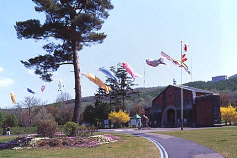 5月には鯉のぼりが庁舎の庭園内を泳ぐ。