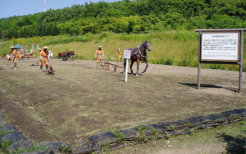 こちらは収穫風景。監視カメラの札が少々興ざめではあるが...