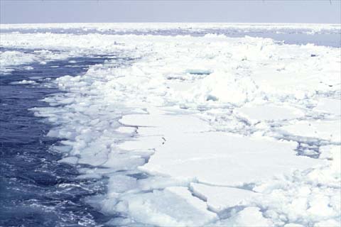 流氷を砕きながら進む砕氷船の通ったあとは、道ができている。